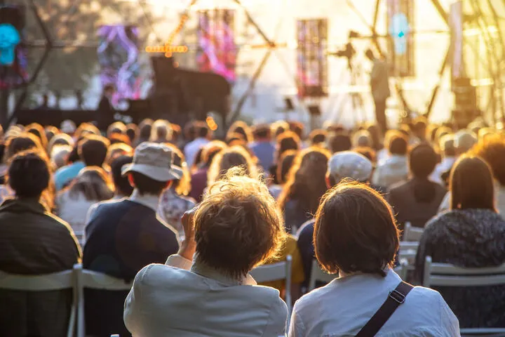 Crowd at an outdoor concert